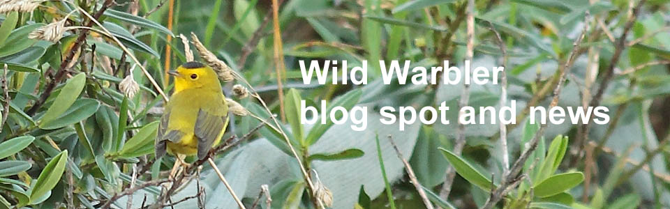 Wild Warbler blog and news